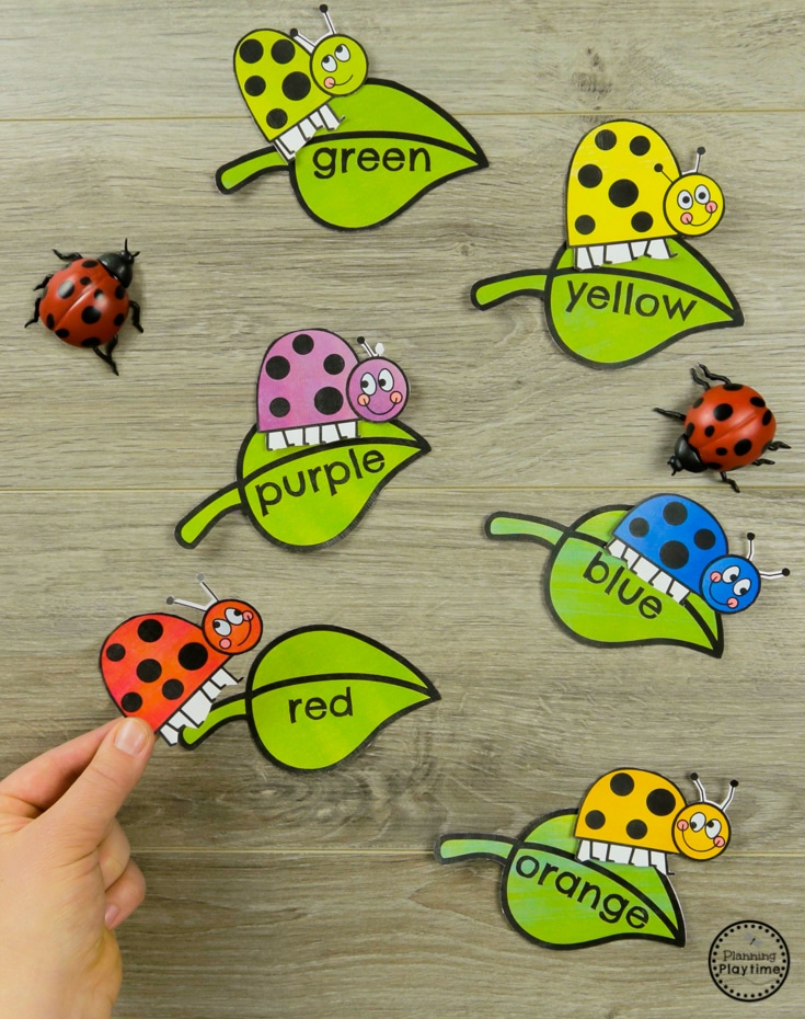 Ladybug Color Matching Preschool Bug Activities for Spring #preschool #bugs #bugtheme #bugactivities #preschoolactivities #preschoolcolors