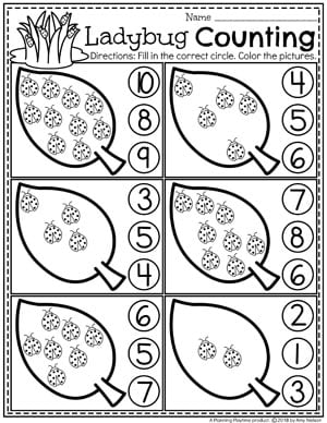 Preschool Bug Worksheets for Spring - Ladybug Counting #preschool #bugs #bugworksheets #preschoolworksheets #springworksheets #countingworksheets #mathworksheets