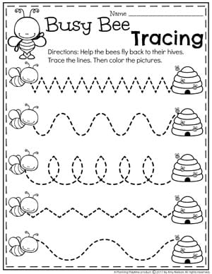 Preschool Bug Worksheets for Spring - Tracing Lines