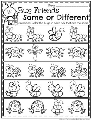 Same or Different Worksheets for Preschool - Bug Theme. Super cute! #preschool #bugs #bugworksheets #preschoolworksheets #springworksheets