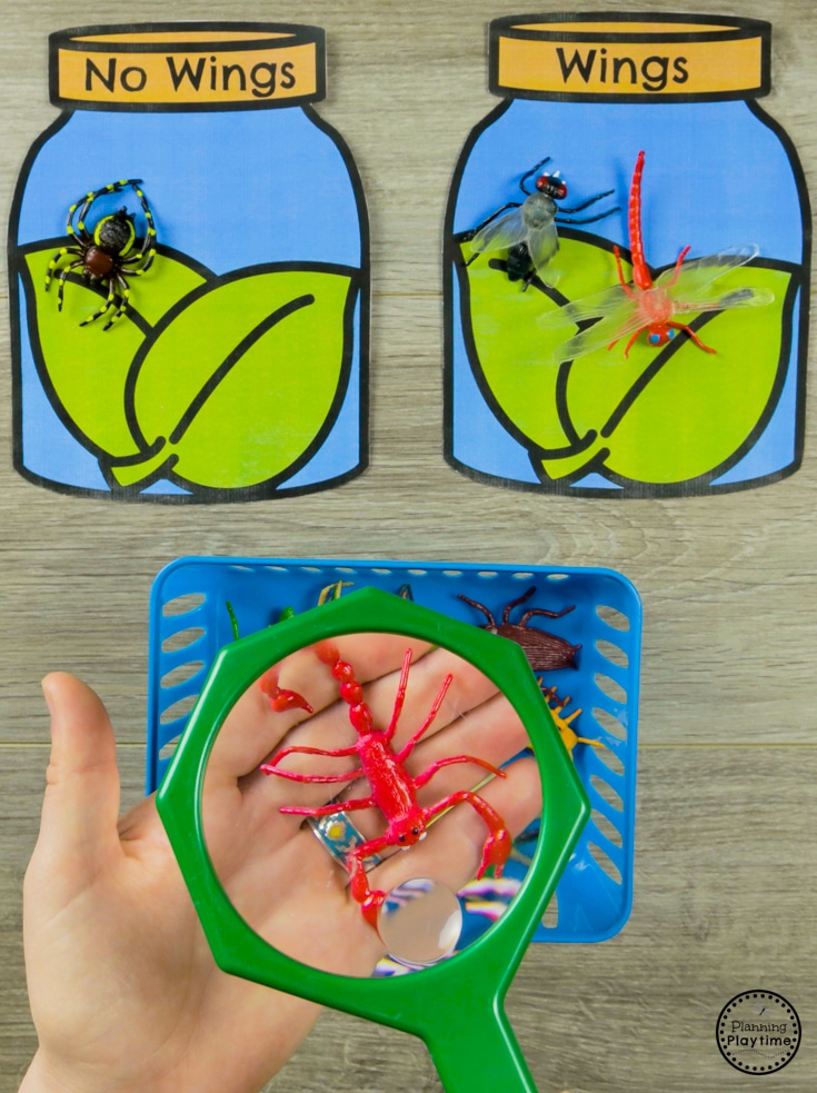 Sort and Classify Bugs By Attributes - Preschool Bug Activities and Science #preschool #bugs #bugtheme #bugactivities #preschoolactivities #preschoolscience