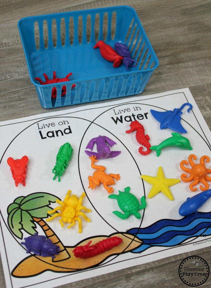 Venn Diagram Sorting Kindergarten Math Game #kindergartenmath #measurement