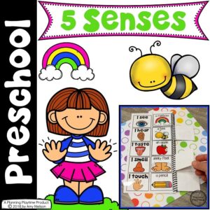 5 Senses