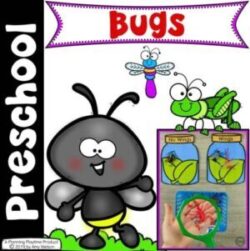 Bug Activities - Preschool