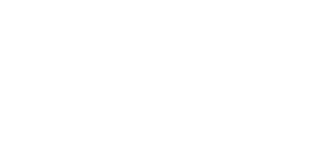 PMI Logo horizontal white