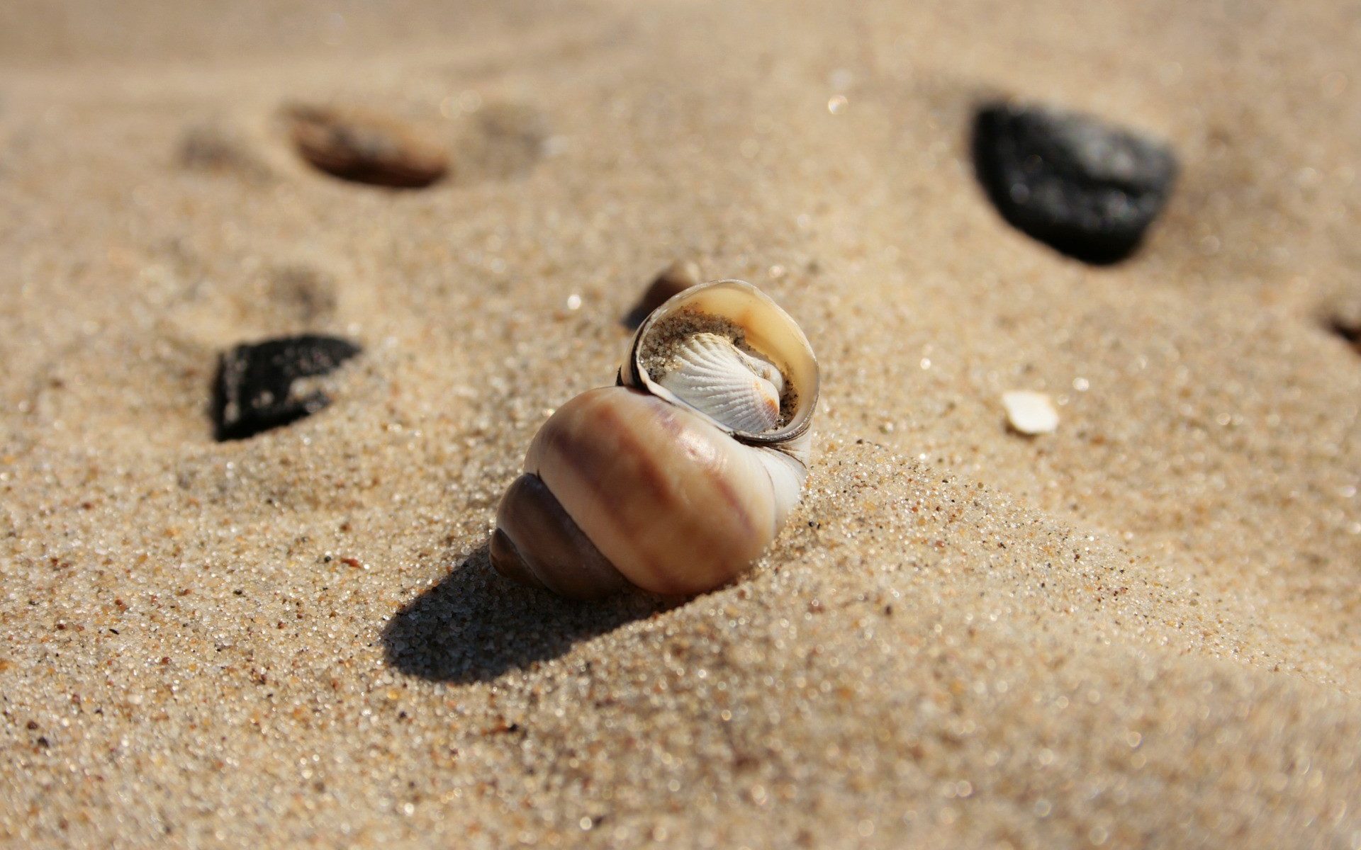 Kontakt - Pokoje U Lucyny