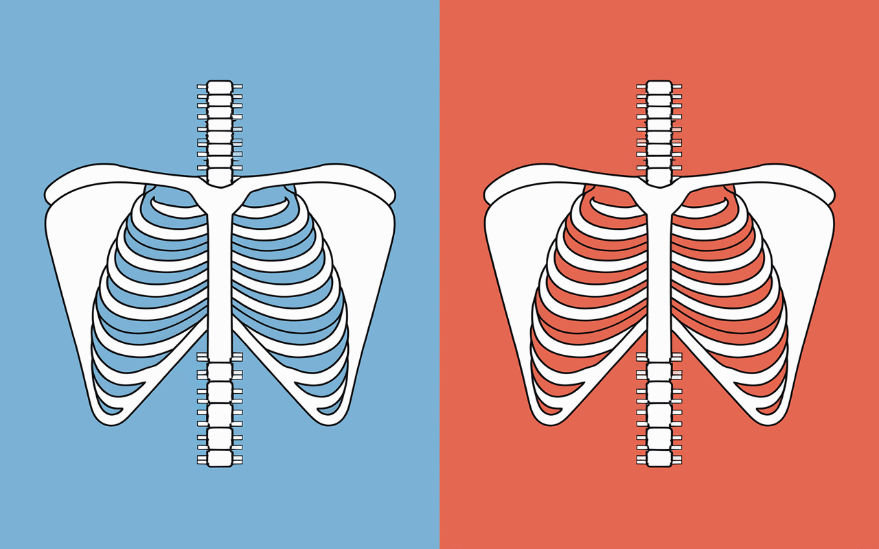 Poulie vs haltères pour épaules