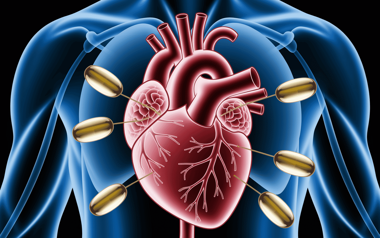 omega 3 musculation effets santé coeur muscles