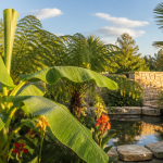 jardin tropic avec bananiers et palmiers
