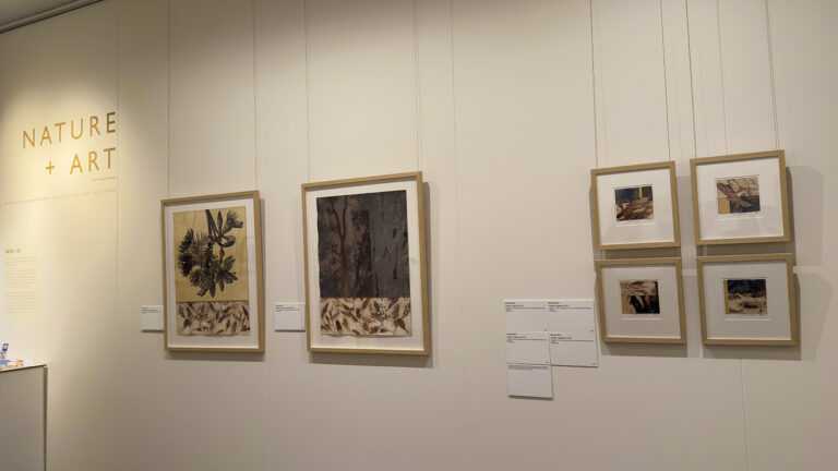 Nature Art Exhibition Dogwood Crossing 2 768x432