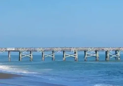 Flagler-1024x461-387x507_ Local Attractions