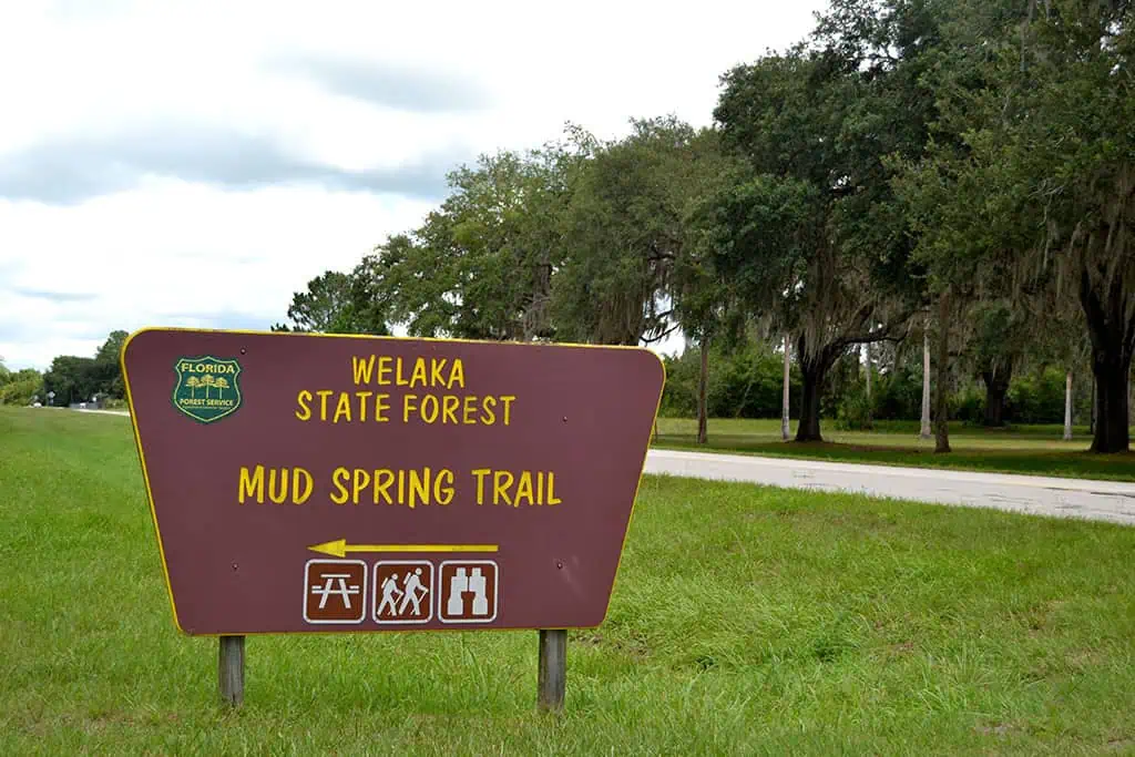 Mud_Spring_Trail_-_panoramio Local Attractions
