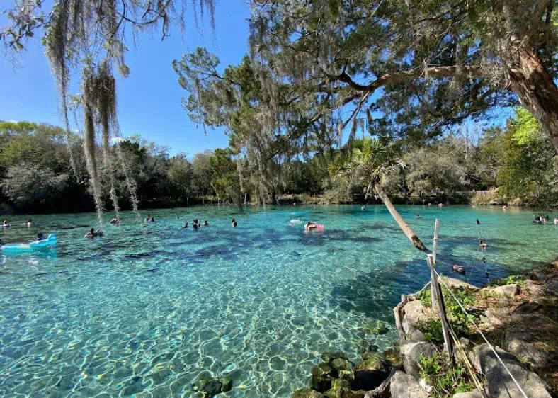 silver-glen-springs_ Local Attractions