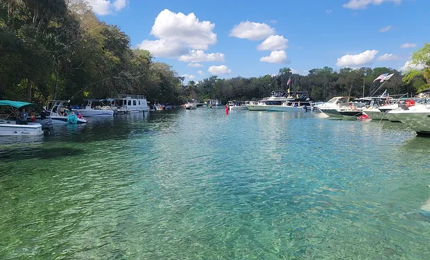 silverglen_port cove_ Port Cove RV