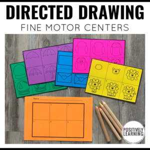 Directed Drawing Centers