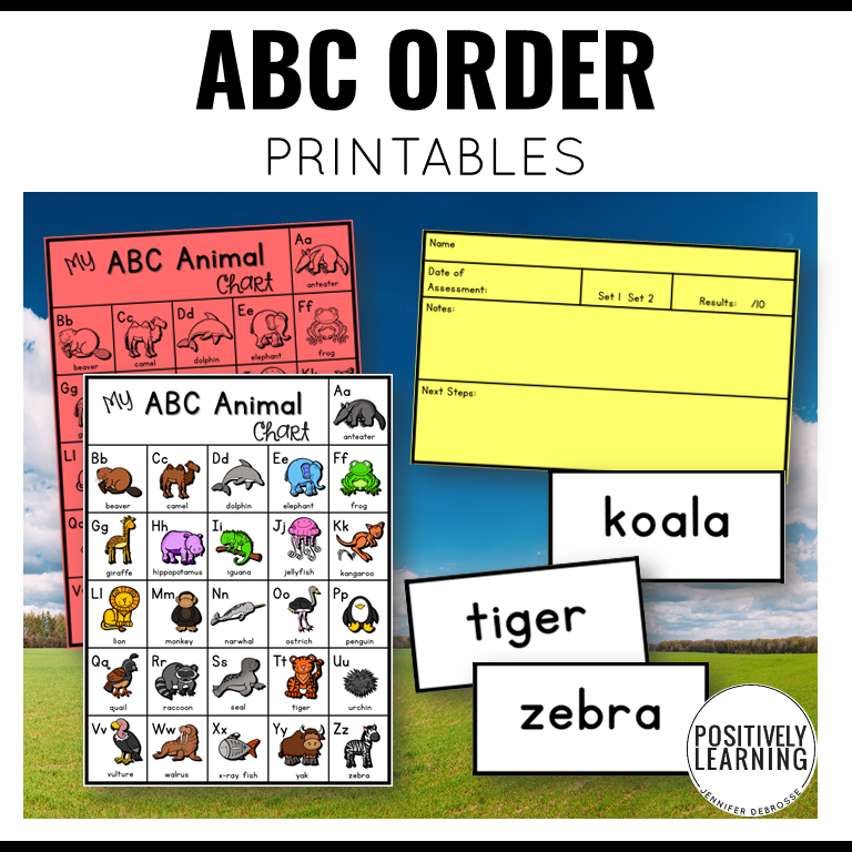 Alphabetical Order - Image 4