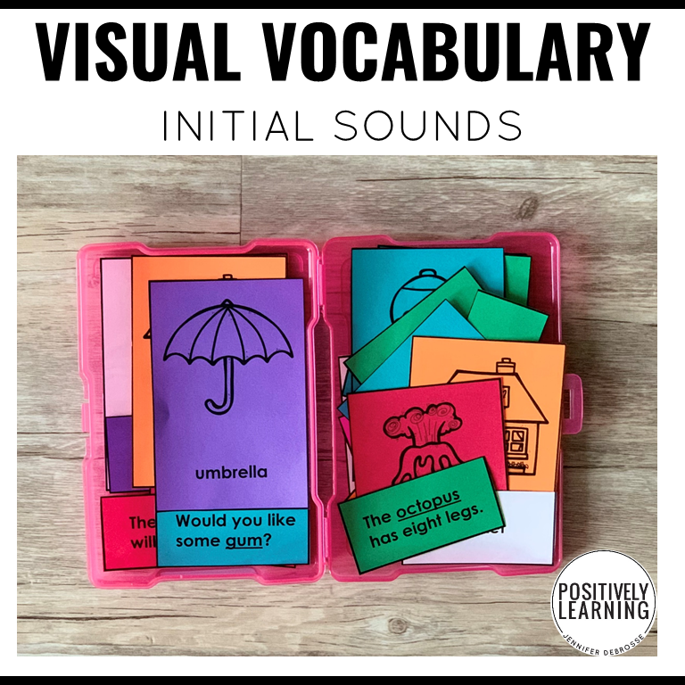 Alphabet Visual Vocabulary Cards - Positively Learning