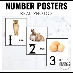 Number Posters for the Classroom