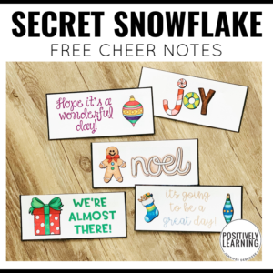 Secret Snowflake Notes