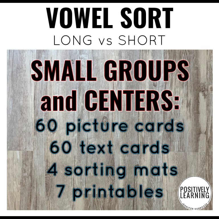 Long vs Short Vowel Sort - Image 4