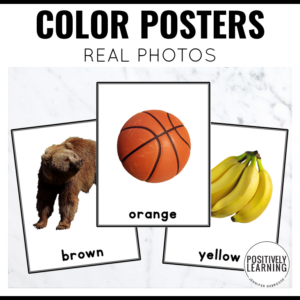 Colors Classroom Posters