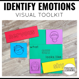 Emotions and Feelings Kit