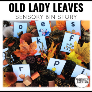 Autumn Sensory Bin