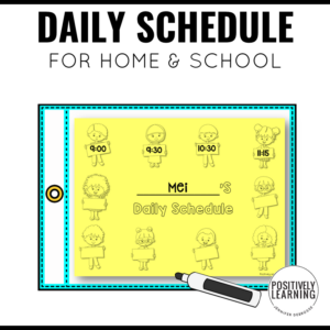 Daily Schedules