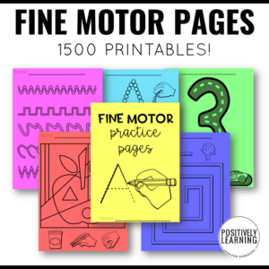 Fine Motor Practice Binder