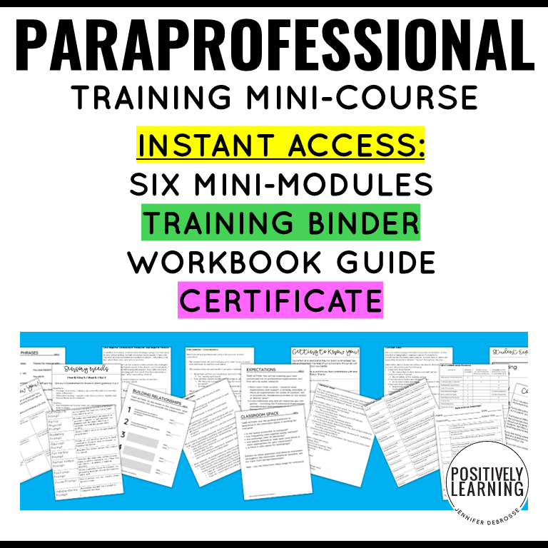 Paraprofessional Training Course for Special Educators - Image 4