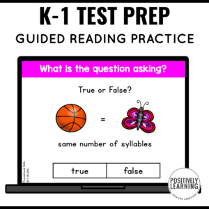 Guided Reading Test Prep Practice