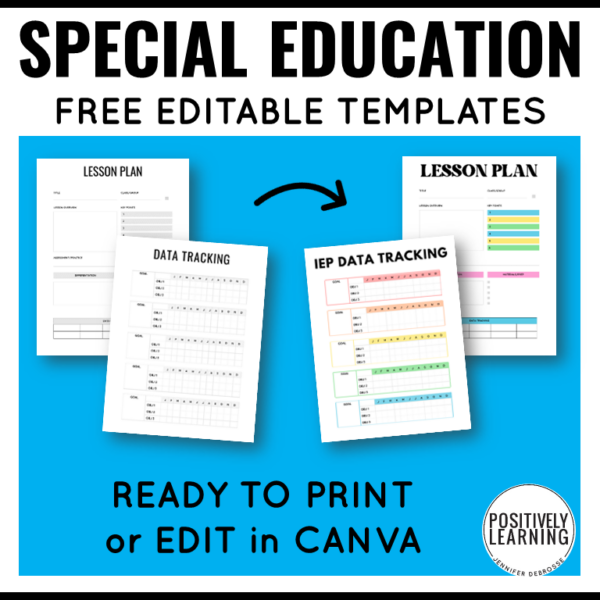 Special Education Teaching Binder Templates - FREE! - Image 2