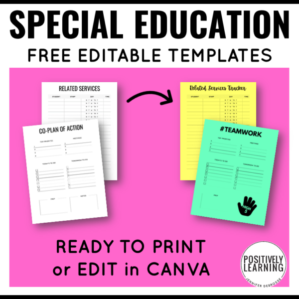 Special Education Teaching Binder Templates - FREE! - Image 3