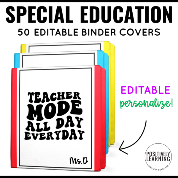 Special Educator Binder Organization - Image 4