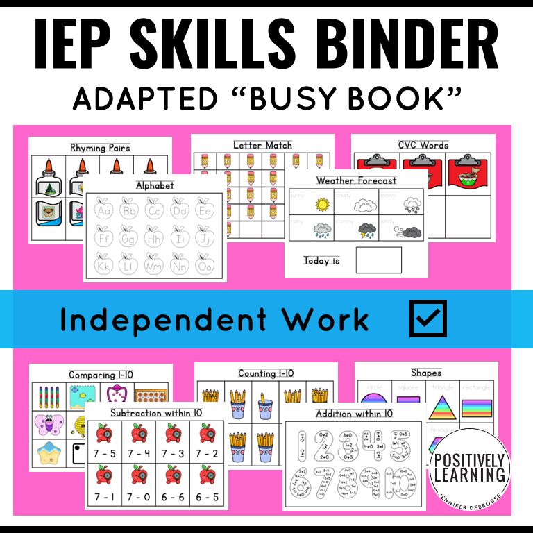 IEP Skills Busy Book Adapted Work - Image 2