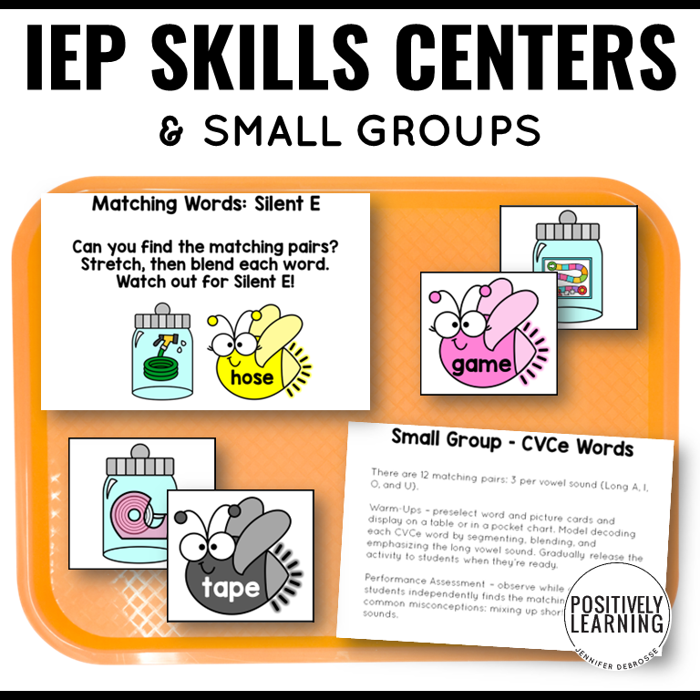IEP Skills Practice Sorting Centers Bundle - Image 3