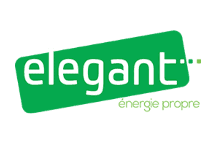 Elegant Logo