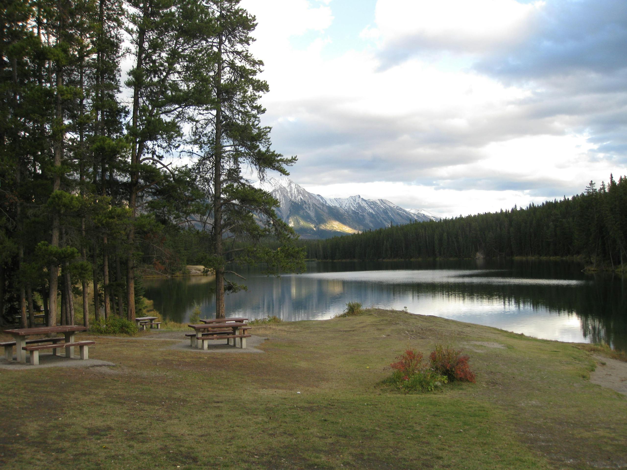 Peaceful lakeside scene at Banff National Park with trees and benches.