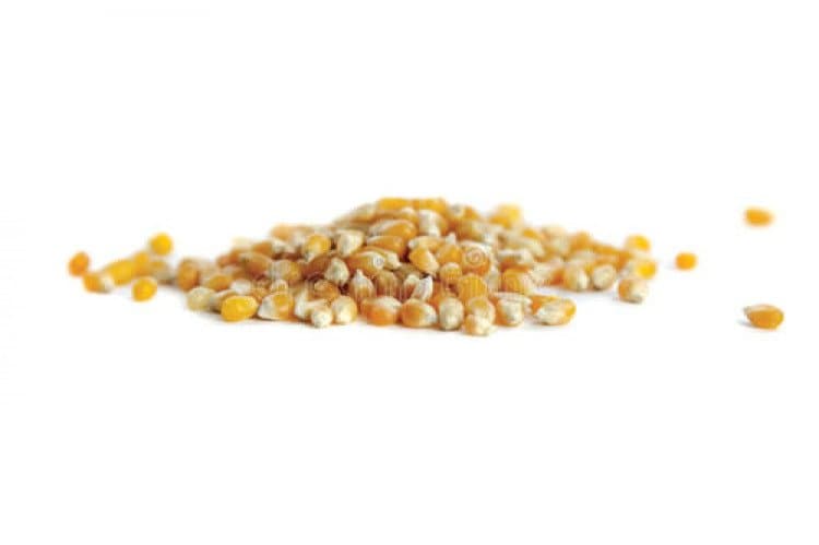 25 Servings popcorn kernel with paper bags