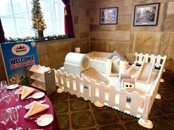 IMG 1404 1737463084 White Luxury Softplay