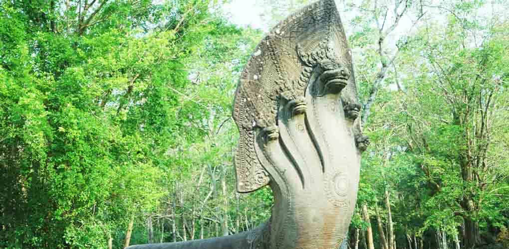 Beng Mealea Naga