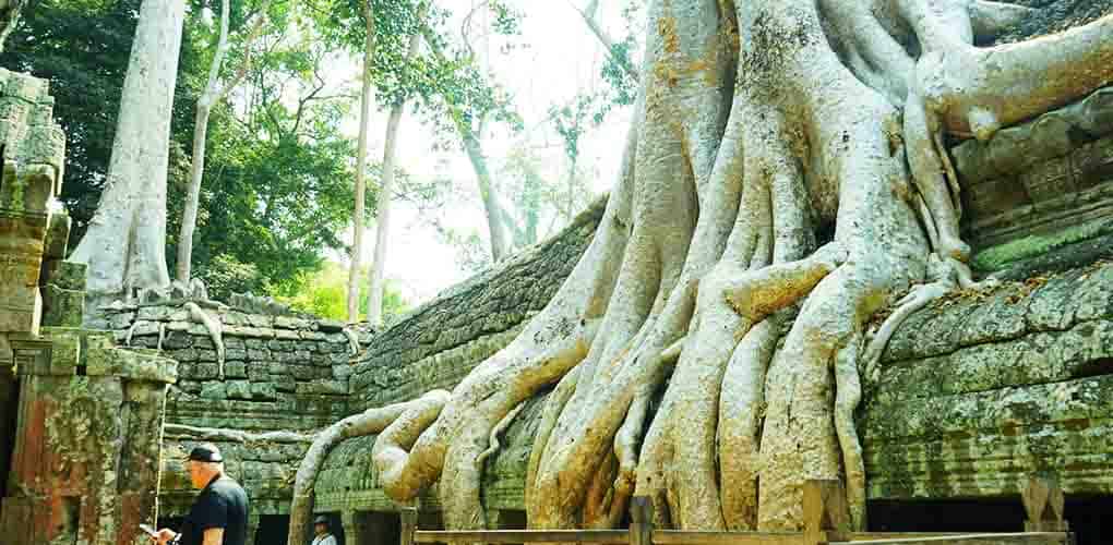 angkor taphrom temple