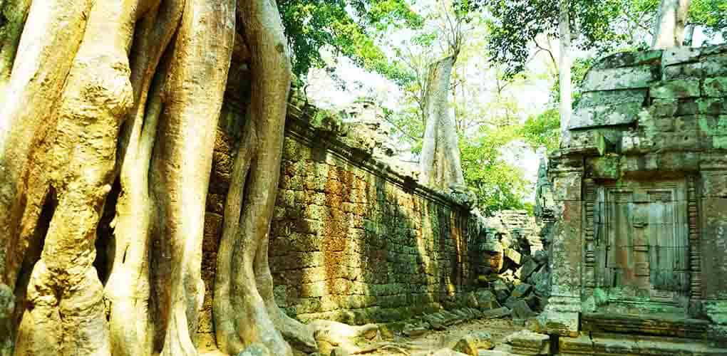 taphrom angkor temple