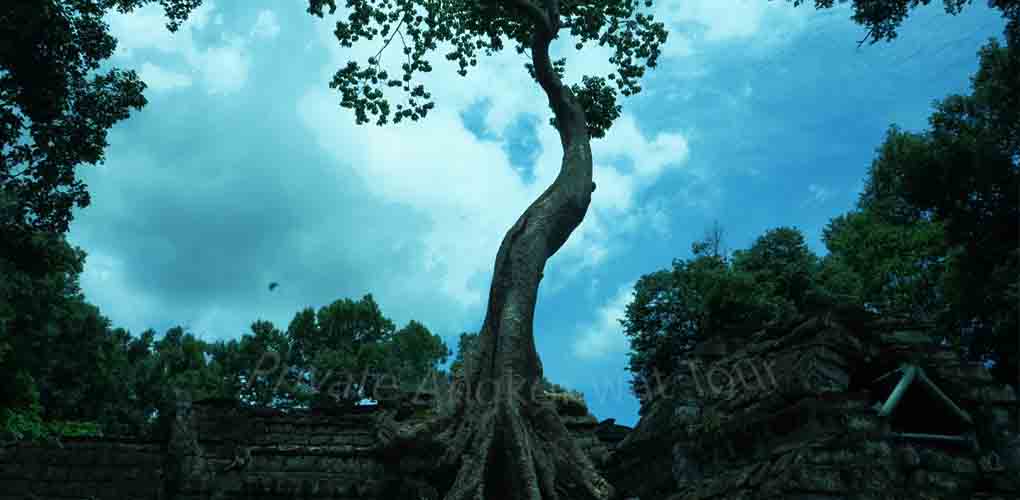 taphrom temple
