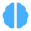 boxicons brain filled