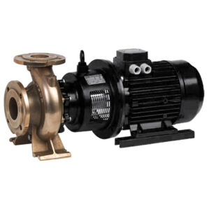 MG2 Electrical Centrifugal Pump - SAER-USA (Bronze) reliable high quality Centrifugal pump