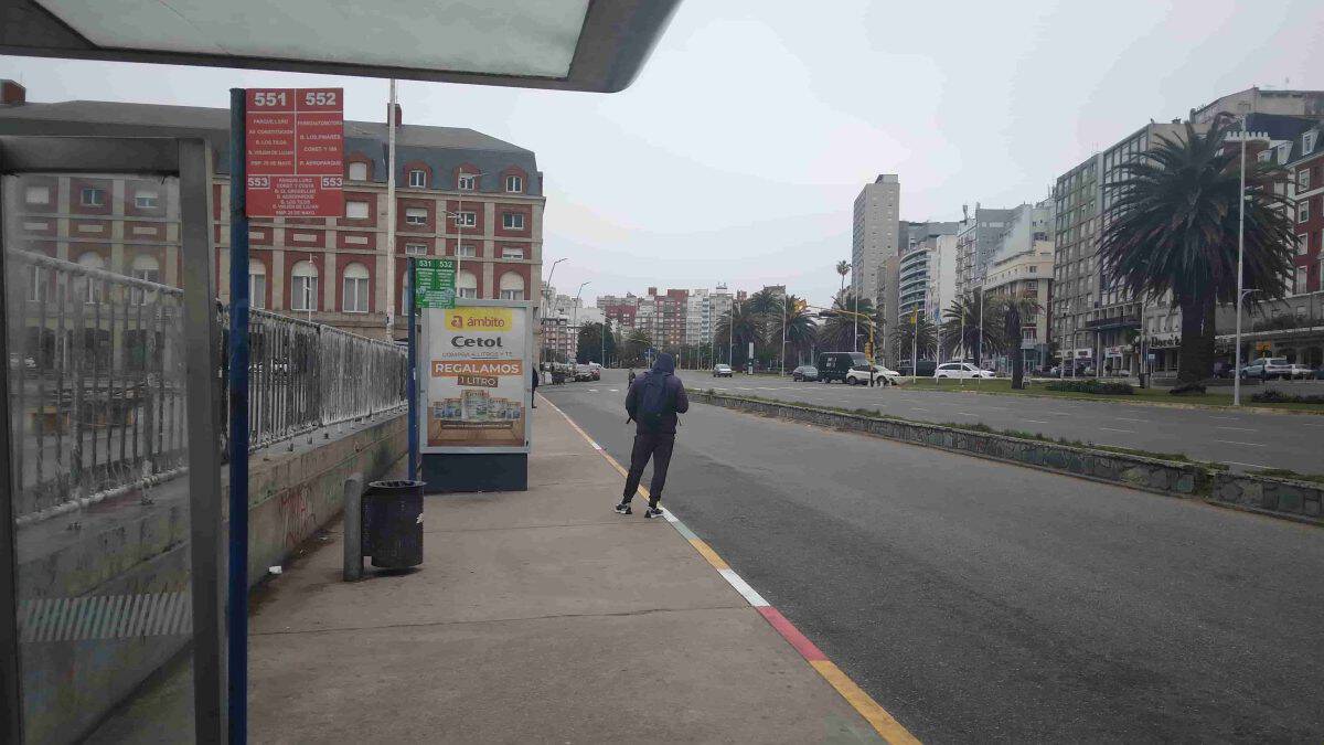 El paro de colectivos seguirá hasta el lunes en Mar del Plata
