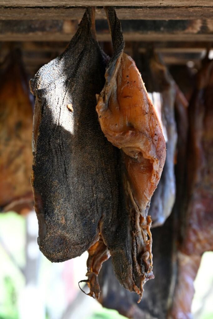 Traditional Icelandic smoked fish drying process.