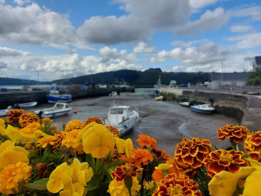 Scenic view of Cork Harbour with boats, vibrant flowers in the foreground, and cloudy sky over the I.