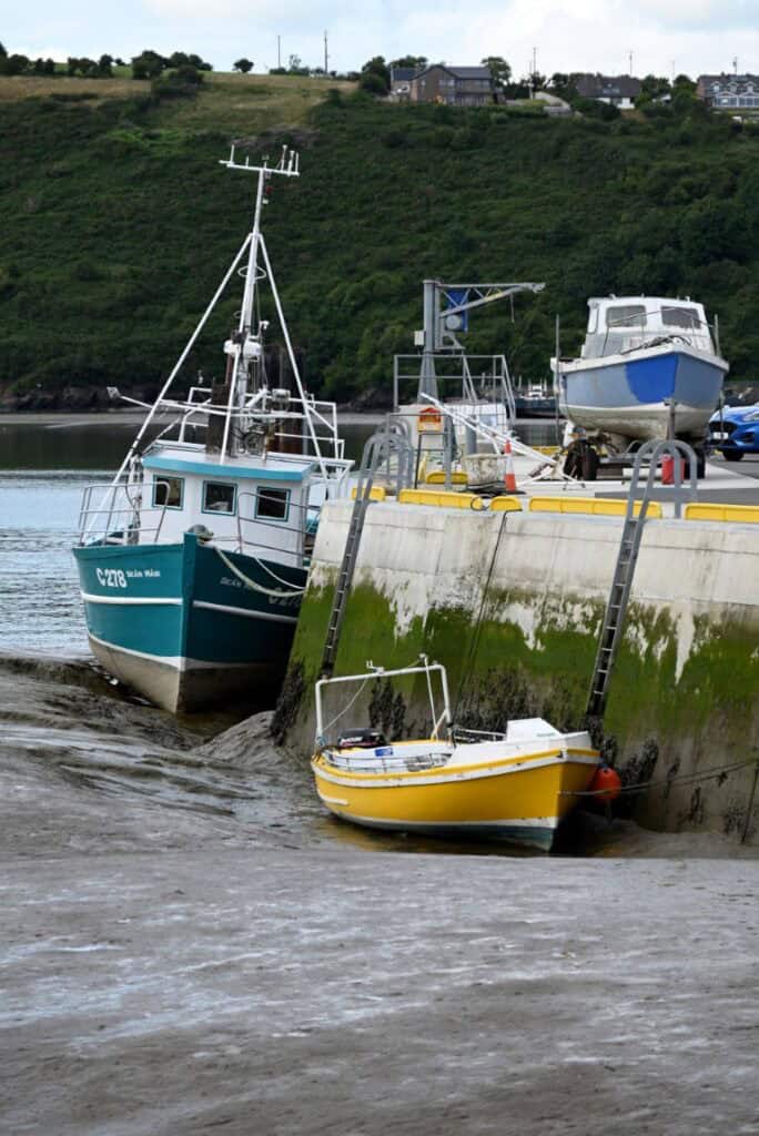 Coastal boats docked at Cork Harbour with lush green hills in the background.